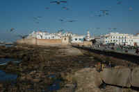 Essaouira, Maroc (209).jpg (64631 bytes)