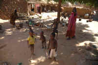 Teli, Mali (23).jpg (74148 bytes)