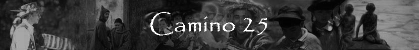 Camino 25
