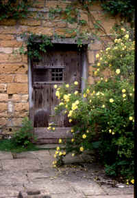 cotswold door (1).JPG (98174 bytes)