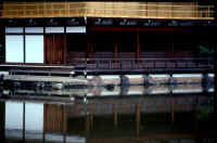 kinkaku-ji (1).JPG (57711 bytes)